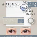 アーティラル1day【10枚】 | コンタクトレンズ通販のグランプリ | 詳細画像5 