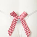 幼さを感じるギンガムチェックのTバック・ショーツ(セクシーランジェリー) | GRAXIA | 詳細画像9 