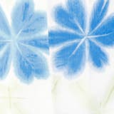 淡い格子状に入ったラインに鮮やかなブルーの花柄がかわいい浴衣3点セット | GRAXIA | 詳細画像10