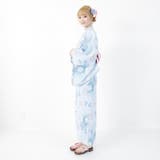 古典柄の菊柄を淡い色使いで年齢問わず着られる浴衣3点セット(YUKATA) | GRAXIA | 詳細画像4