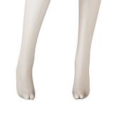シースルー感が感触も見た目も心地よいバックシームデザインのパンティストッキング | GRAXIA | 詳細画像19