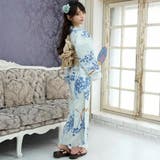 みずあさぎに金色トンボの浴衣3点セット(YUKATA) | GRAXIA | 詳細画像5