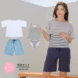 大人カジュアルなボーダータンキニがちら見え4点セット(水着・体型カバー水着) | GRAXIA | 詳細画像3 