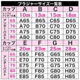 【インナー 下着】サテンと艷レースでセクシーさUP プリーツブラジャー&amp;… | Growing Rich | 詳細画像9 