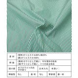 パールボタンシャツ シャツ レディース | Growing Rich | 詳細画像15 