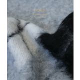 アーガイル ポロニット ポロ | Growing Rich | 詳細画像5