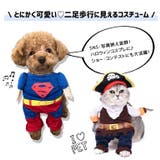 ペット コスチューム 犬 | DEAR COLOGNE | 詳細画像2