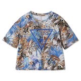 P7HB | [GUESS] Triangle Logo Crop Tee | GUESS【WOMEN】