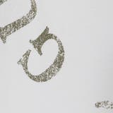 [GUESS] SS Bsc Guess Cls Design Tee | GUESS【MEN】 | 詳細画像7 