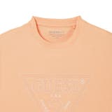 [GUESS] TRIANGLE Stitching Tee | GUESS【MEN】 | 詳細画像5 