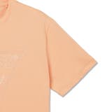 [GUESS] TRIANGLE Stitching Tee | GUESS【MEN】 | 詳細画像6 