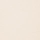 [GUESS] Short Sleeves | GUESS【WOMEN】 | 詳細画像17 