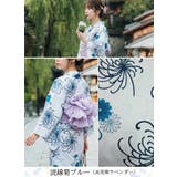 流線菊ブルー | 一人で簡単に着れる。綿二部式浴衣 浴衣 浴衣セット | HAPPY急便 by VERITA.JP