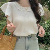 ベージュ | レース襟付きスカラップカットスリーブリブカットプルオーバー  | WITCH