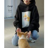 パーカー 猫 ダンボール | HUG.U | 詳細画像23 