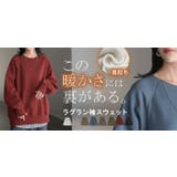 スウェット 裏起毛 綿100 | HUG.U | 詳細画像27 