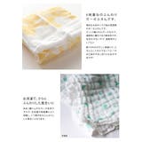 日本製 大判 ガーゼ ふきん 6重あわせ | タオル直販店ヒオリエ | 詳細画像3 