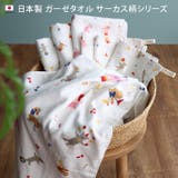 日本製 【速乾 薄手】 ガーゼタオル ハンドタオル サーカス柄 4枚セット | タオル直販店ヒオリエ | 詳細画像3 