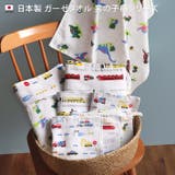 日本製 【速乾 薄手】 ガーゼタオル バスタオル 男の子柄 2枚セット | タオル直販店ヒオリエ | 詳細画像3 