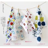 日本製 てぬぐい | タオル直販店ヒオリエ | 詳細画像3 