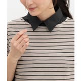 付け襟 レギュラーカラー 無地 | Honeys | 詳細画像5 