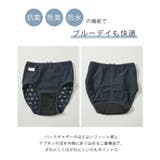 ショーツ サニタリーショーツ深め 防水 | Honeys | 詳細画像3