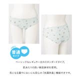 下着 アンダーウェア ショーツ | Honeys | 詳細画像2