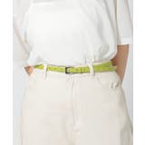 ライム | ベルト 細ベルト レディース | Honeys