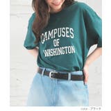 ベルト 合皮 コンチョ付き | Honeys | 詳細画像2 