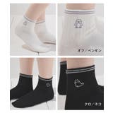 靴下 ソックス ショート丈ソックス | Honeys | 詳細画像13 