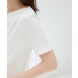 トップス カットソー 半袖 | Honeys | 詳細画像15 