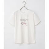 トップス Tシャツ 半袖Tシャツ | Honeys | 詳細画像17 