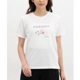 トップス Tシャツ 半袖Tシャツ | Honeys | 詳細画像4 