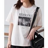 アイボリー | トップス カットソー 半袖 | Honeys