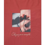 トップス Tシャツ 半袖Tシャツ | Honeys | 詳細画像17 