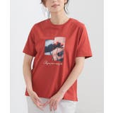 トップス Tシャツ 半袖Tシャツ | Honeys | 詳細画像9 