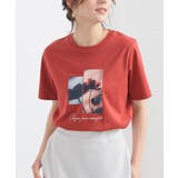 ダークオレンジ | トップス Tシャツ 半袖Tシャツ | Honeys