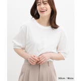 【ハニーズ】トップス Tシャツ 半袖Tシャツ | Honeys | 詳細画像5