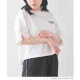 【ハニーズ】トップス Tシャツ 半袖Tシャツ | Honeys | 詳細画像5 