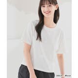 トップス Tシャツ 半袖Tシャツ | Honeys | 詳細画像5
