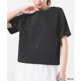 トップス Tシャツ 半袖Tシャツ | Honeys | 詳細画像7