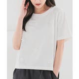 ホワイト | トップス Tシャツ 半袖Tシャツ | Honeys