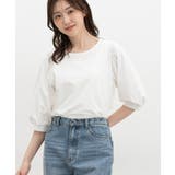 ホワイト | トップス カットソー ハニさら | Honeys