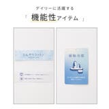 トップス カットソー 半袖 | Honeys | 詳細画像2