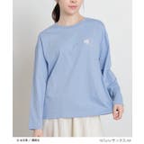 トップス Tシャツ ロンＴ | Honeys | 詳細画像7 
