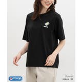 トップス Tシャツ 半袖Tシャツ | Honeys | 詳細画像5 