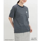 トップス Tシャツ 半袖Tシャツ | Honeys | 詳細画像3 