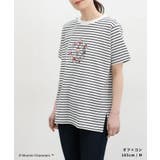 トップス カットソー 半袖 | Honeys | 詳細画像11 