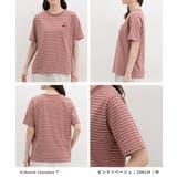 トップス Tシャツ 半袖Tシャツ | Honeys | 詳細画像6 