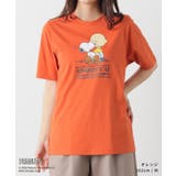 トップス カットソー 半袖 | Honeys | 詳細画像10
